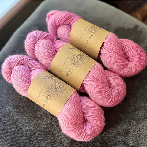 Bubblegum, Bubblegum in a Dish on Budget Baby - Sock